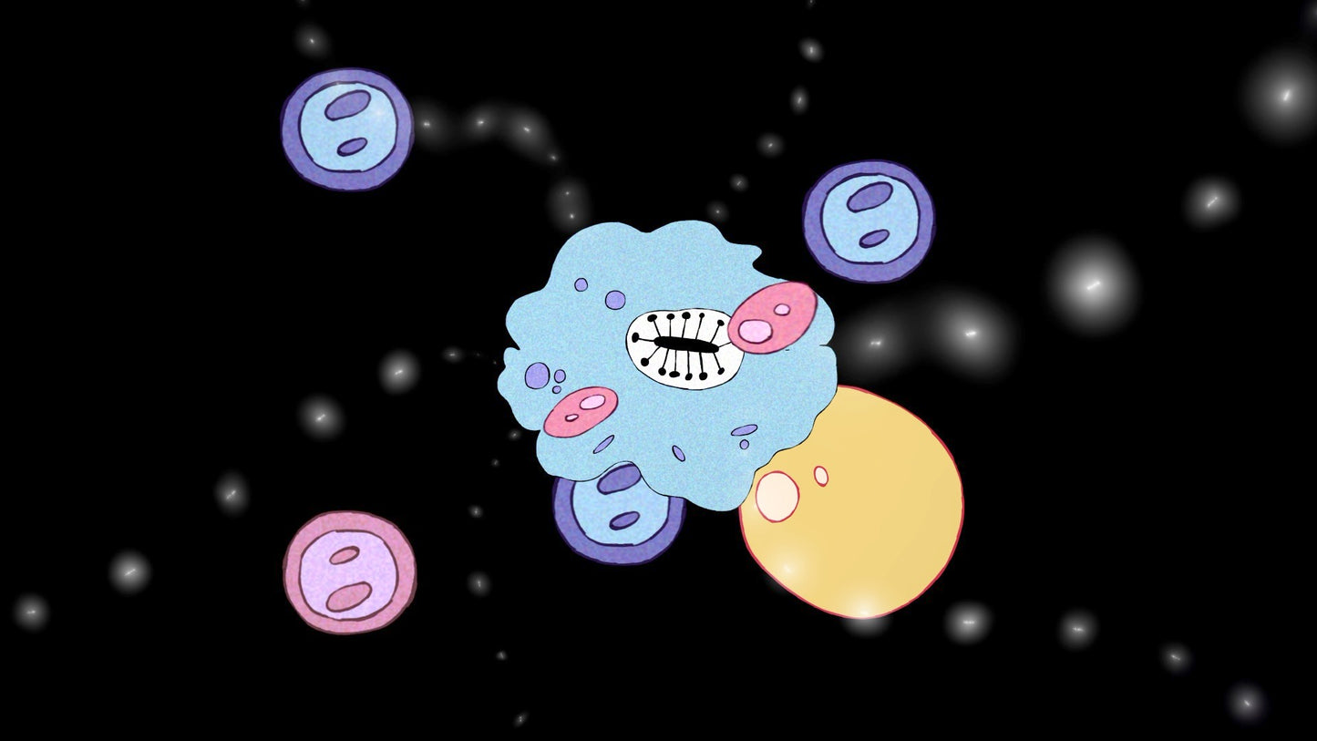 Nebula Ecosystem