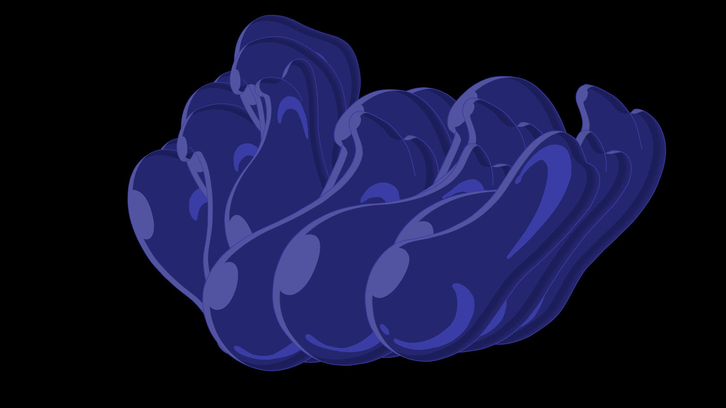Loop Clusters (7 Loops)