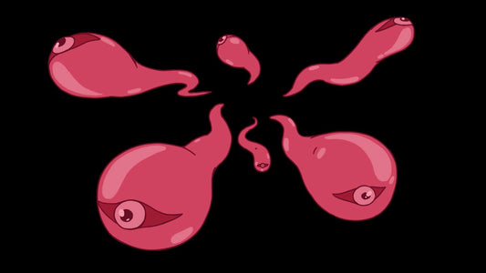 Elemental Zooms (9 Loops)