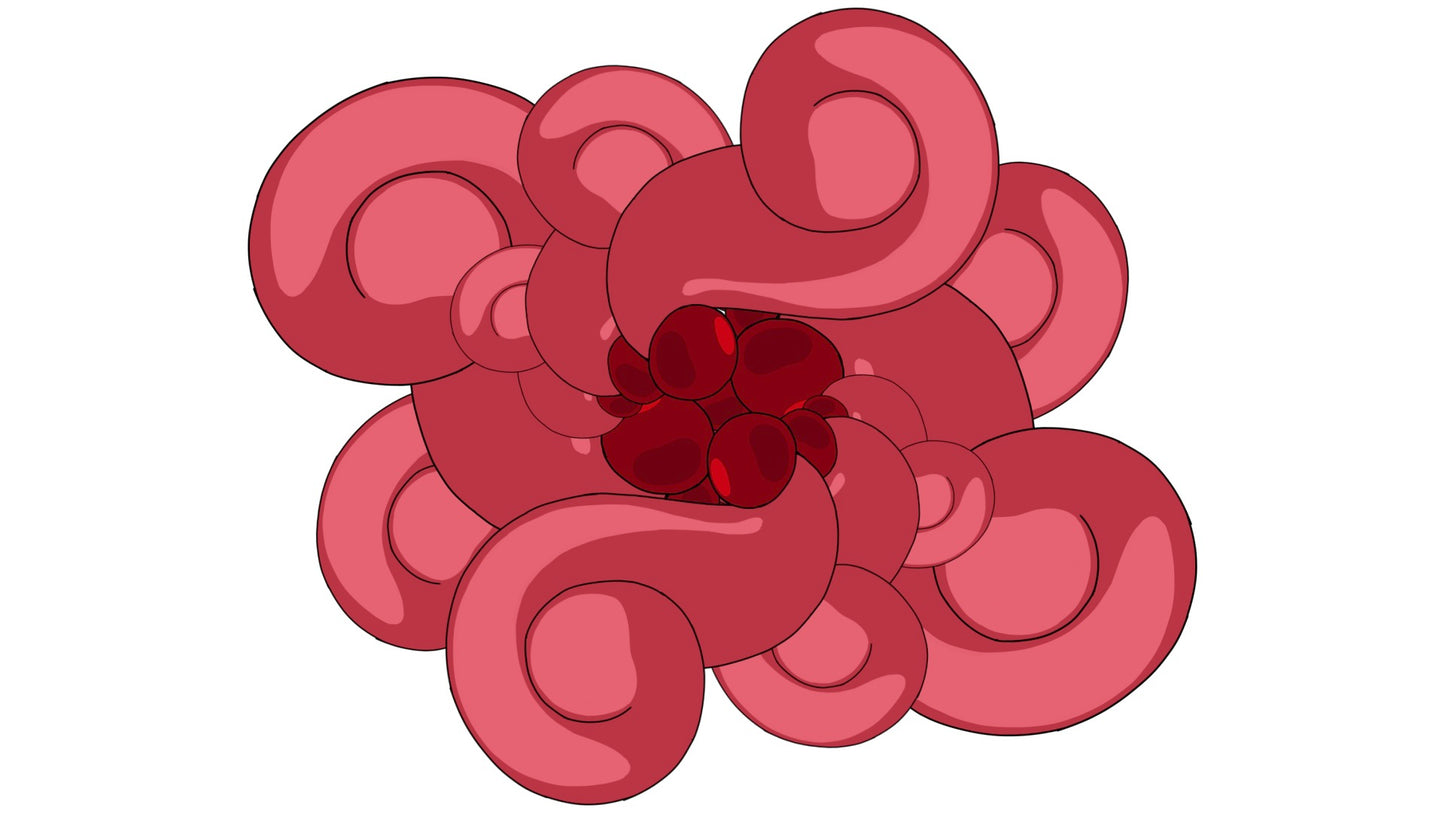 Morphology (22 Clips) - MicahBuzan.com/Shop