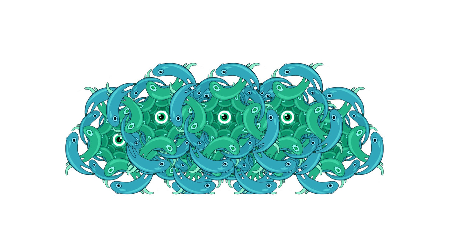 Morphology (22 Clips) - MicahBuzan.com/Shop