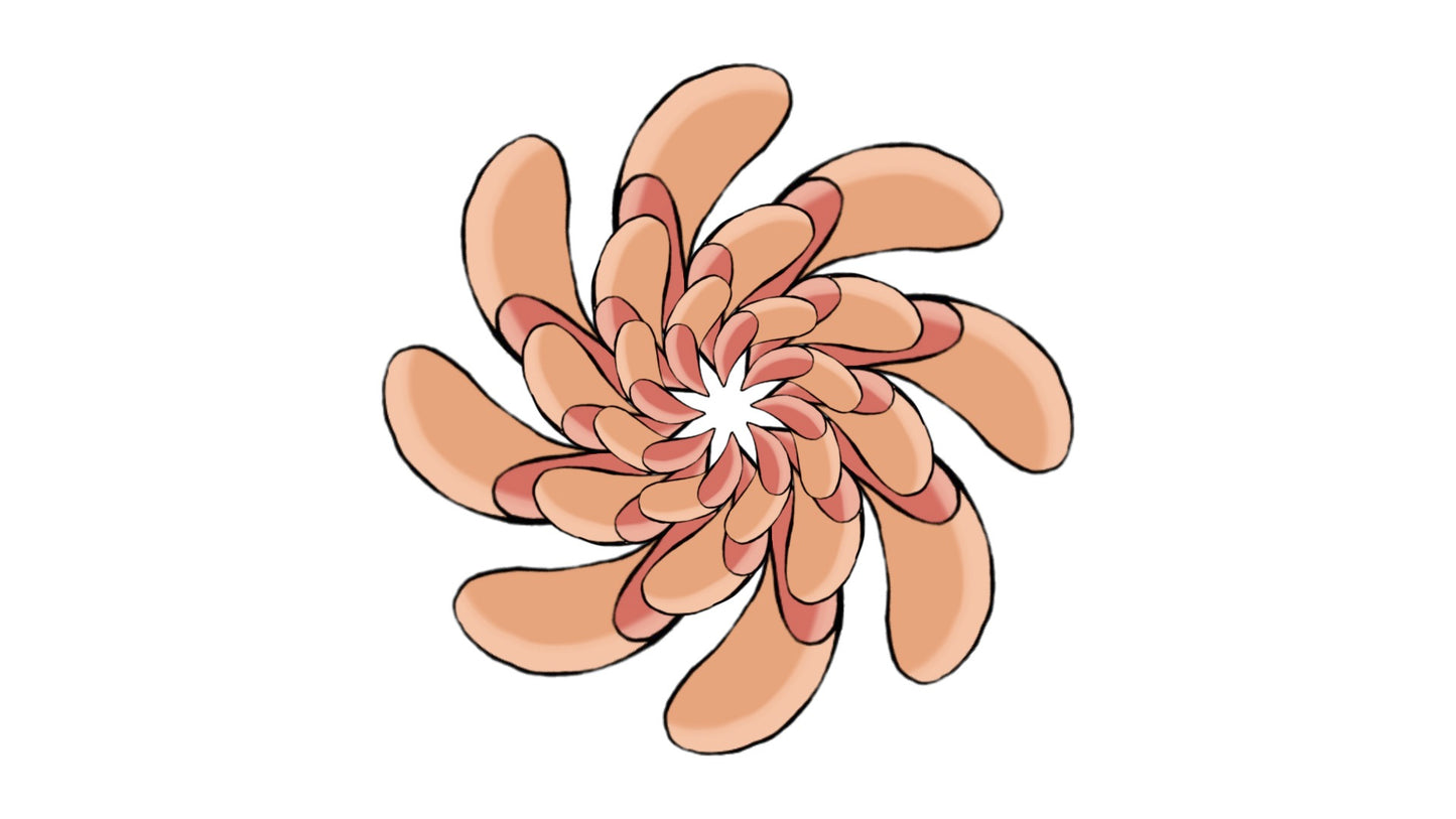 Morphology (22 Clips) - MicahBuzan.com/Shop