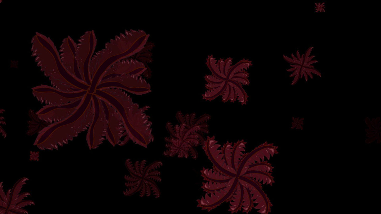 Morphology Zooms - VJ Pack (55 Clips) - MicahBuzan.com/Shop