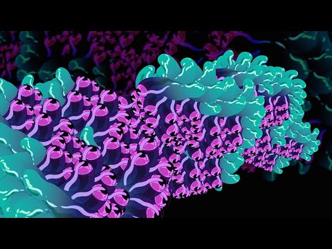 Surreal Backgrounds (9 Loops)