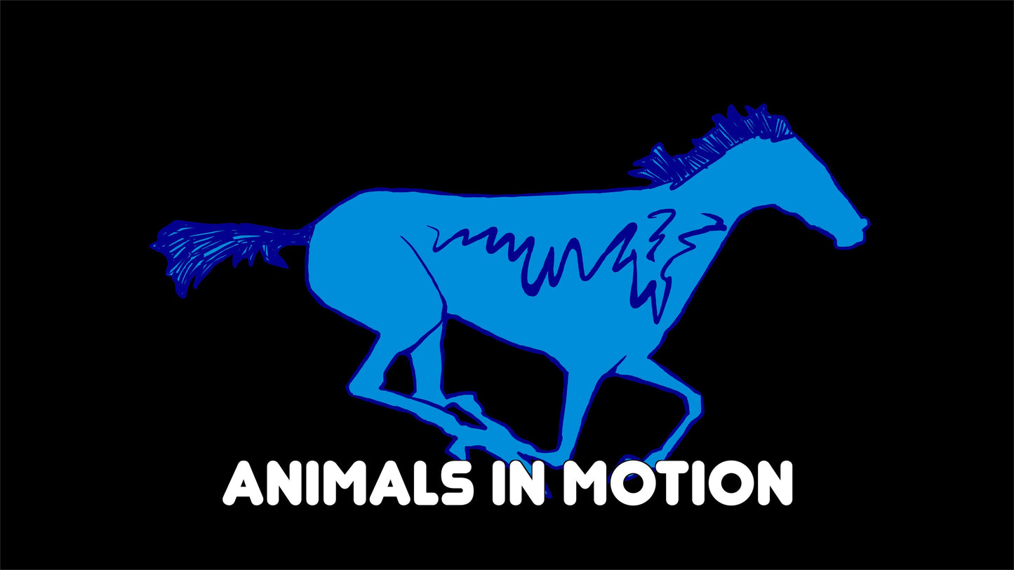 2025 BUNDLE (136 Loops)