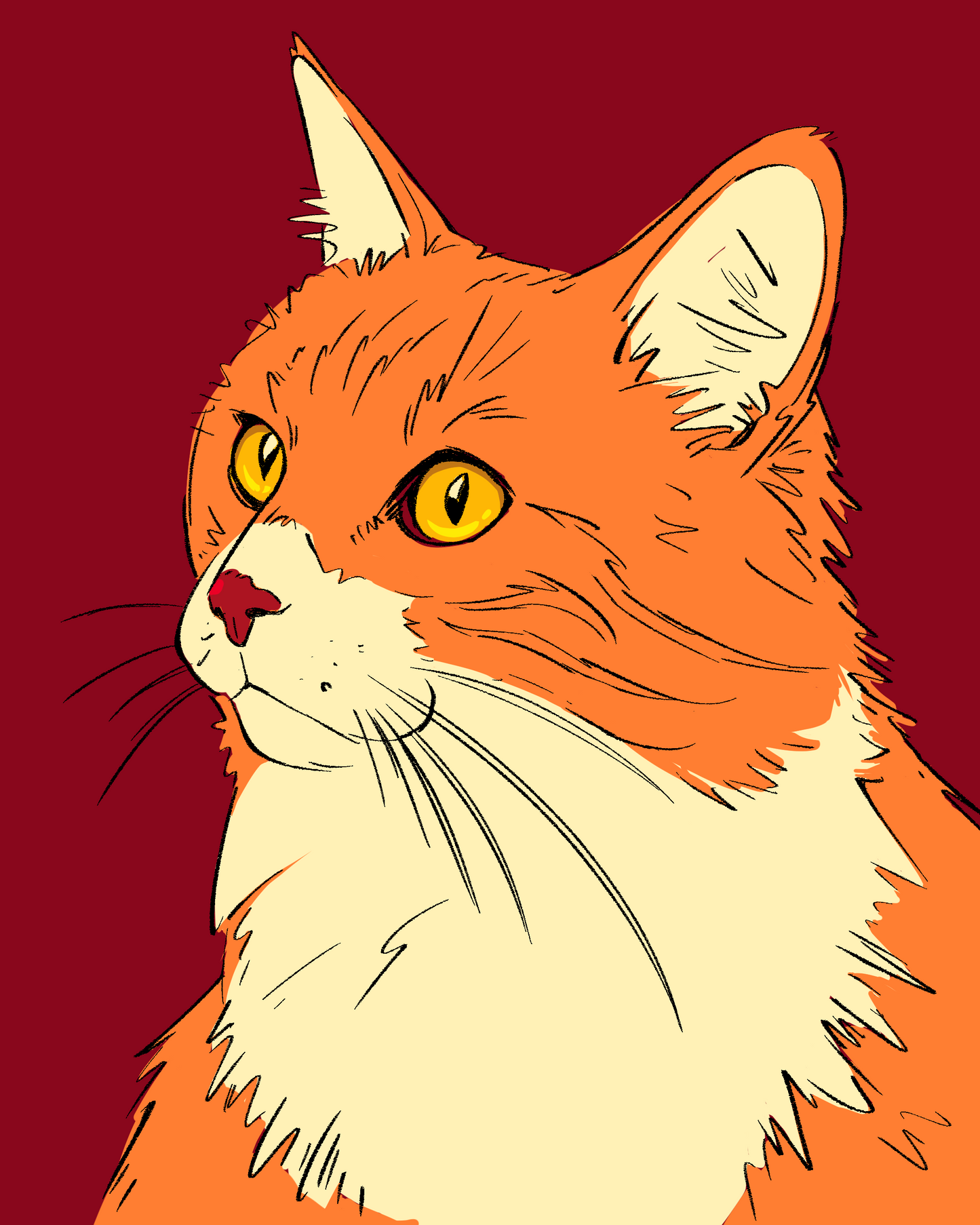 Digital Portrait - Pets & People
