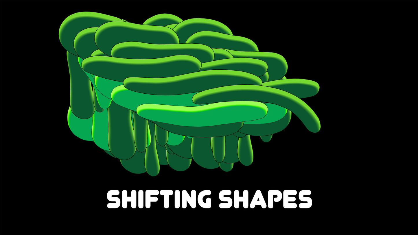 2025 BUNDLE (136 Loops)