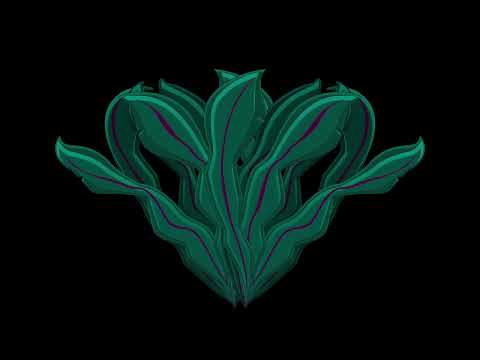 SeaWeed Freebie Loop