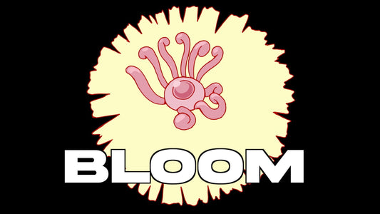 Bloom Pack (9 Loops)