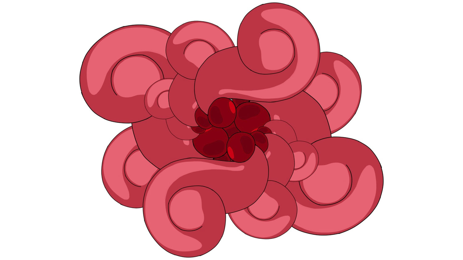 Morphology (22 Clips) - MicahBuzan.com/Shop